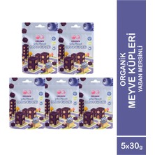 OG natural 5'li Organik Yaban Mersinli Meyve Küpleri (5 x 30 Gr)
