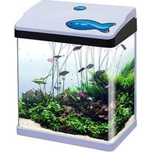 Sobo Komple Akvaryum 28,5X19X34 cm Beyaz