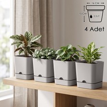 ToXA 4 Adet 2.3 Litre Bej Begonya Kare Saksı Mat Drenajlı Tabaklı Plastik Saksı