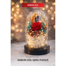 Kırmızı Işıklı Fanus Sabun Gül
