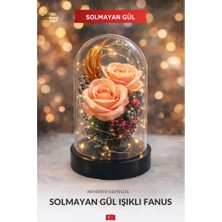 Somon Işıklı Fanus Yapay Gül