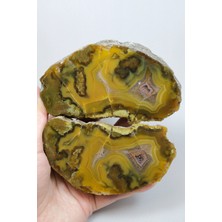Healcrystal Hardal Altın ve Kahverengi Şeritli Siyah Deniz Agatesi Çifti, Tüylü Içerikler Ile
