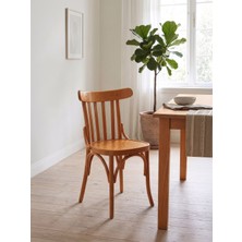 Gazzini Furniture Clara Retro Thonet Kolçaklı Ahşap Sandalye