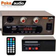 Pazarcı Anfi 50W USB Sd Fm Metal Kasa Poke PK-4633