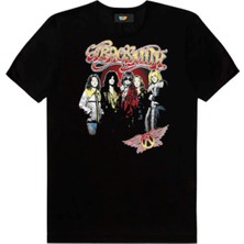  Aerosmith Grup Tisortu Model 04577