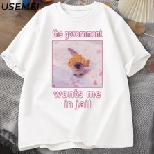  Hükümet Beni Hapishanede Istiyor Komik Kedi Meme T-Shirt Erkekler Için Kadın Aptal Kediler gr 2972