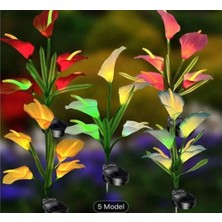 Charmer Princesses Solar Güneş Enerjili  Bahçe Lambası 8 LED IP65 Su Geçirmez Dekoratif Dış Mekan Aydınlatma