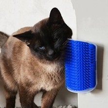 Eco Lounge Cat It Kedi Kaşınma Aparatı