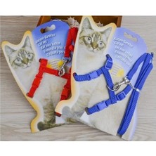 Eco Lounge Kedi Boyun ve Göğüs Tasması