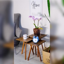 Cangül Home Ahşap Masa Ayağı  Meşe 38-41-44 cm 9 Lu Set