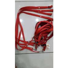 Köpek Tasma Çatal Gezdirme Ipli Medium