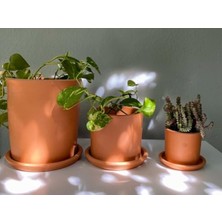 Die Grup Doğal Terracotta Saksı ve Tabak - Pembenin Tonları (Küçük)