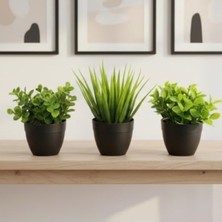Die Grup 3'lü Mini Yapay Sukulent Seti, 8 cm Saksı ile