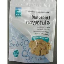 Die Grup Bağışıklık Güçlendirici Köpek Takviyesi, Lipozomal Glutatyon 60TB