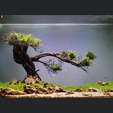 Die Grup Kendinden Yapışkanlı Akvaryum Arka Fon - Kumlama 1 mt x 60 cm