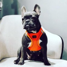 Die Grup Yumuşak Hava Geçirgen Kedi Köpek Göğüs Tasması, Neon-Turuncu