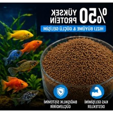 Die Grup Yüksek Proteinli Granül Akvaryum Balık Yemi, 100 gr