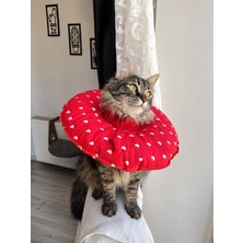 Petris Kedi ve K.ırk Köpek Boyunluk-Koruyucu Elizabeth Yakalık Operasyon Boyunluk-Kedi Boyun Yastığı