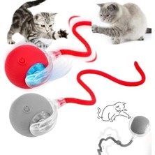 Die Grup Hareketli Kuyruklu Otomatik Kedi Oyuncağı, USB Şarjlı 3 Mod