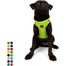 Die Grup Kedi Köpek Göğüs Tasması - Yumuşak Nefes Alabilir Dayanıklı, Neon-Sarı, Medium