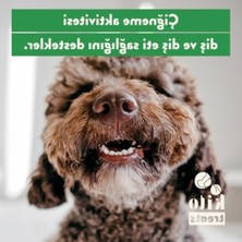 Die Grup %100 Doğal Tavuk Boyun Çiğnemelik, Glutensiz, 100 G