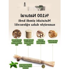 Die Grup Kedi Naneli Matatabi Çubuğu, 1 Adet