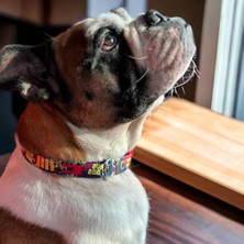 Die Grup Yıkanabilir Ayarlanabilir Köpek Boyun Tasması - Geri Dönüştürülmüş Malzeme