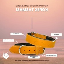 Die Grup Kemik Baskılı Hakiki Deri Köpek Tasması – Yumuşak Deri Alt Kısım, Krom Toka, Şık ve Dayanıklı (Kırmızı, M)