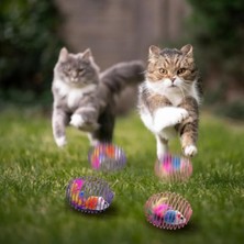 Die Grup Spiral Tel Top & Peluş Fareli Kedi Oyuncağı - Zıplayan Eğlence