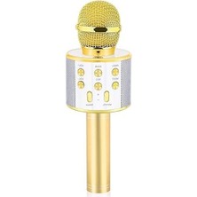 Die Grup Babilden C-8501 Karaoke Mikrofon Bluetooth USB & Tf & Aux (Gold)