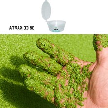 Die Grup 30 cc Su Mercimeği, Yavru Saklanması Için Akvaryum Bitkisi