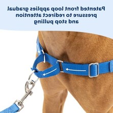 Die Grup Easy Walk Köpek Koşum Takımı