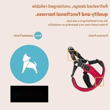 Die Grup Küçük Köpekler Için Kaçış Önleyici Neopren Koşum Takımı - Ayarlanabilir ve Rahat