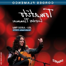 Die Grup Flamenco Gitarı Için Normal Tansiyon Teli