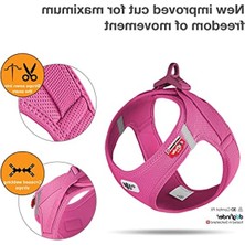 Die Grup Fuchsia Renkli Air-Mesh Yelek, L Beden Köpekler Için