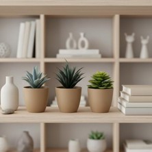 Die Grup Mini Yapay Sukulent Seti, 8 cm Saksı ile Dekoratif Bitki Tasarımı