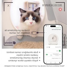 Die Grup Entegre Hd Kamera ile Akıllı Kedi Tuvaleti, Otomatik Temizleme