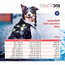 Die Grup Mini Beden Köpek Göğüs Takımı - Karışık Kalp Desenli