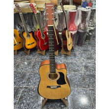 Carnevılle Elektro Akustik Gitar Kılıf Hediyeli