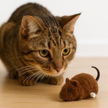 Die Grup Hareketli Fare Şeklinde Peluş Kedi Oyuncağı, Zihinsel Uyarım Için