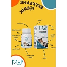 Die Grup Bağışıklık Sistemini Destekleyen Kedi ve Köpekler Için C Vitamini Tabletleri