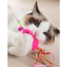 Die Grup Kedi Oyun Oltası (Balık Tasarımı)