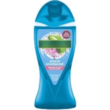 Die Grup %100 Doğal Bileşenler Içeren Duş Jeli - 250 ml