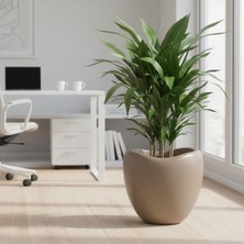 Poliva Home Lale Desen Dekoratif Mocha Saksı 25 Lt - Büyük Boy Modern Salon & Bahçe Saksısı Haznesiz