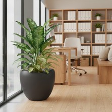 Poliva Home Lale Desen Dekoratif Mocha Saksı 25 Lt - Büyük Boy Modern Salon & Bahçe Saksısı Haznesiz