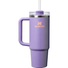 Die Grup 0.89 Litre Parlak Lila Pipetli Termos Bardak ile Içeceklerinizi Yanınızda Taşıyın