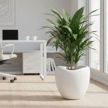 Poliva Home Lale Desen Dekoratif Mocha Saksı 25 Lt - Büyük Boy Modern Salon & Bahçe Saksısı Haznesiz