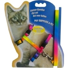 Eco Lounge Multicolor Kedi Tasması