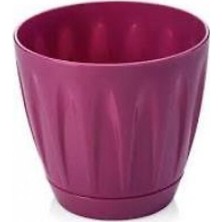 Alkasaz Papatya Saksı 12 Litre ROYALEKS-P005