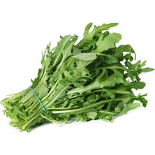 Alkasaz Roka Tohumu 10 gr